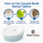 Pawvera Cascade Brook - TA-PV008 - Image 6