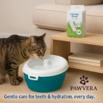 Pawvera Cascade Brook - TA-PV008 - Image 3