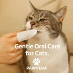 Pet Teeth Cleaning & Finger Wipes - TA-PV013 - Image 3