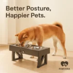 Pet Feeder Elevated Double Bowl - Stainless Steel - TA-PV017 - Image 3