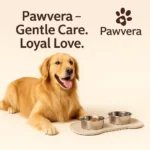 Portable Foldable Silicone Double Bowl - TA-PV019 - Image 4