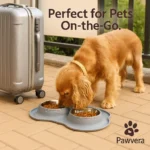 Portable Foldable Silicone Double Bowl - TA-PV019 - Image 2