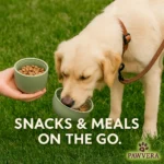 2-in-1 Pet Dispenser - TA-PV023 - Image 3