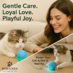 Pet Electric Ball - TA-PV024 - Image 4