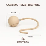 Pet Electric Ball - TA-PV024 - Image 5