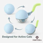 Pet Electric Ball - TA-PV024 - Image 8