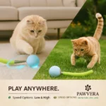 Pet Electric Ball - TA-PV024 - Image 3