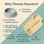 Pet Feeder Bowl - TA-PV025 - Image 9